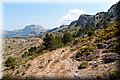 P7153532.JPG