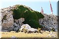 P7153537.JPG