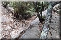 P7153557.JPG