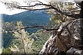 P7153559.JPG