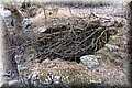 P7153570.JPG