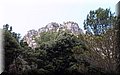 P7153571.JPG