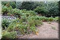 P7153573.JPG