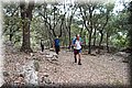 P7183575.JPG