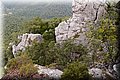 P7183580.JPG