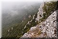 P7183589.JPG
