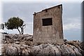 P7183597.JPG