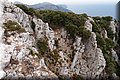 P7183600.JPG