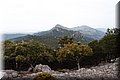 P7183606.JPG