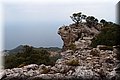 P7183618.JPG