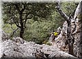 P7183621.JPG