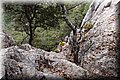 P7183627.JPG