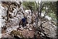 P7183636.JPG
