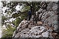 P7183638.JPG