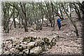 P7183640.JPG