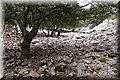 P7183643.JPG