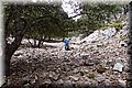 P7183644.JPG