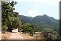 P7183649.JPG