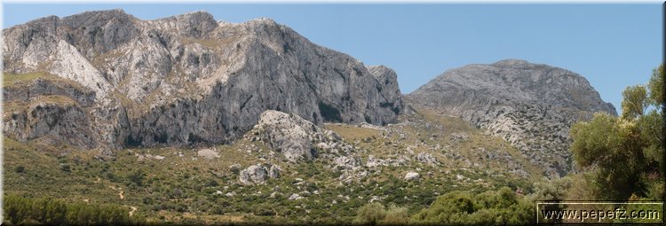 Pano.jpg