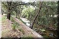 P7223652.JPG