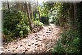 P7223654.JPG