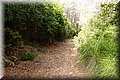 P7223655.JPG