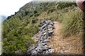 P7223659.JPG