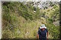 P7223662.JPG
