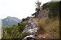 P7223664.JPG