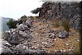P7223665.JPG