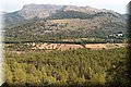 P7223667.JPG