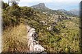 P7223670.JPG