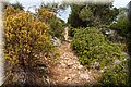 P7223671.JPG