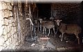 P7223680.JPG