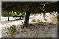 P7223699.JPG