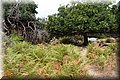 P7223700.JPG