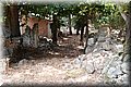 P7223707.JPG