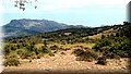 P7223719.JPG