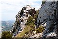 P7223738.JPG
