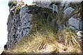 P7223748.JPG