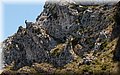 P7223756.JPG
