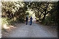P7293908.JPG