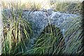 P7293909.JPG