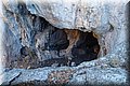 P7293918.JPG