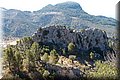 P7293920.JPG