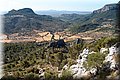 P7293929.JPG