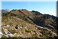 P7293931.JPG