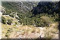 P7293953.JPG