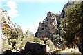 P7293959.JPG