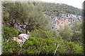 P8084200.JPG